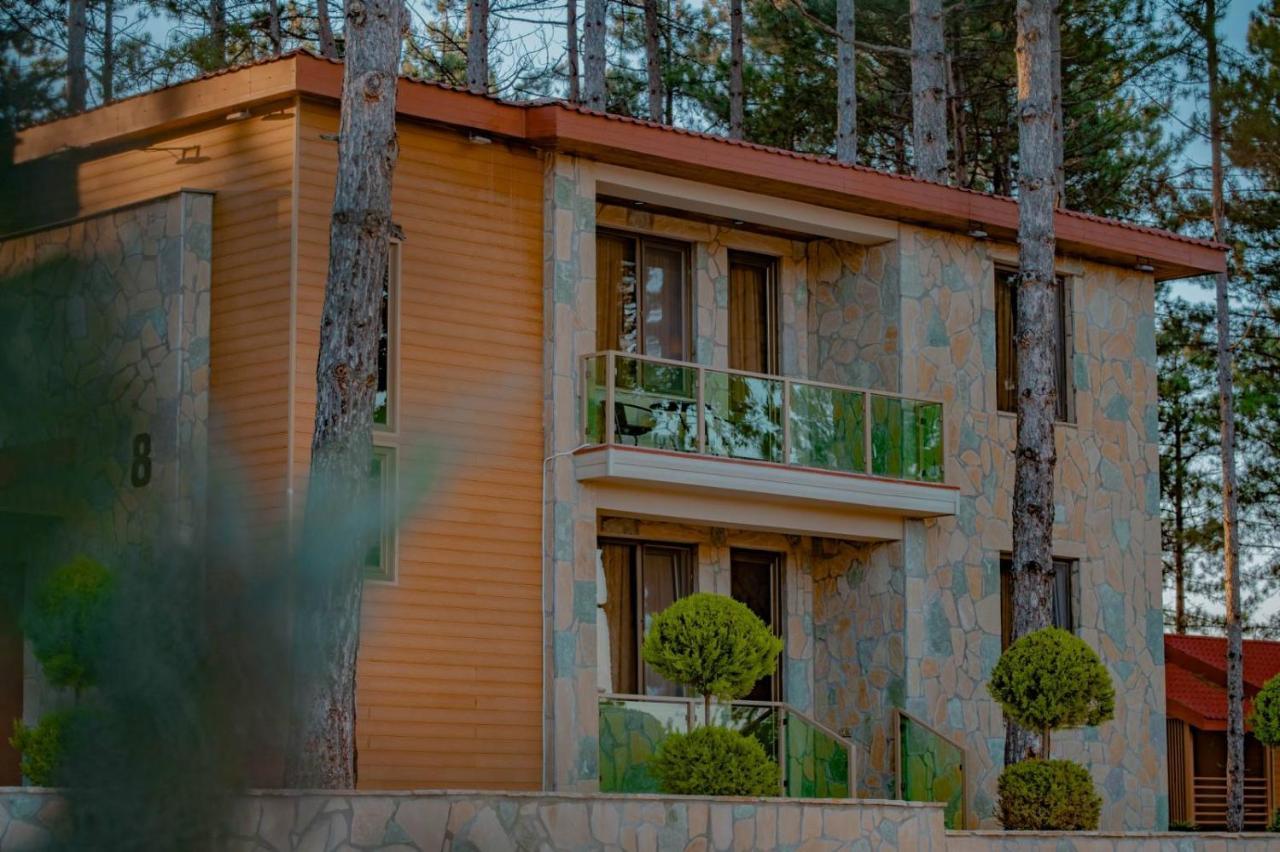 Zuzumbo Resort & Spa Τελάβι Εξωτερικό φωτογραφία