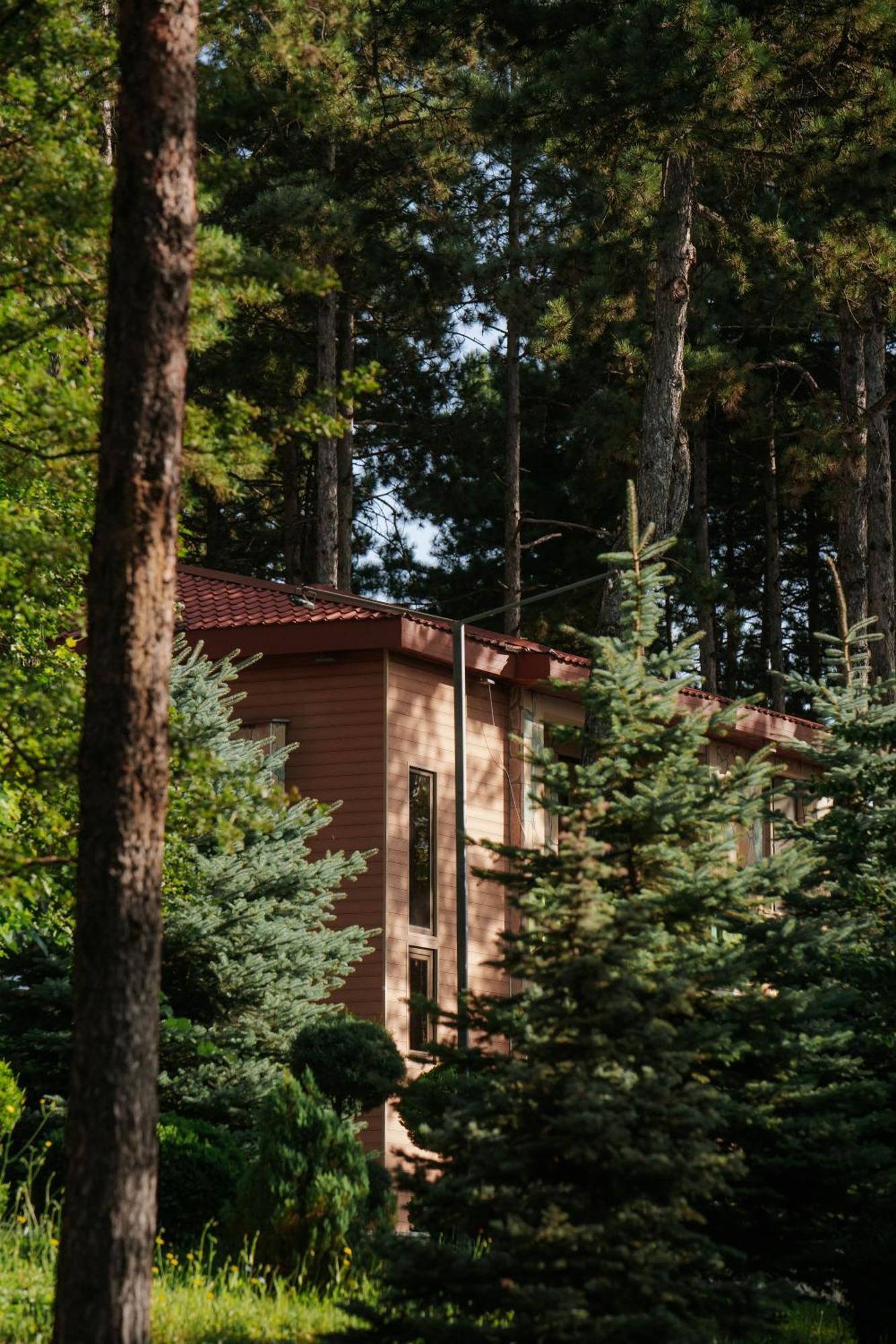Zuzumbo Resort & Spa Τελάβι Εξωτερικό φωτογραφία